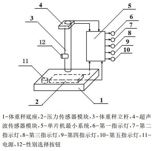 趣味体重秤结构图