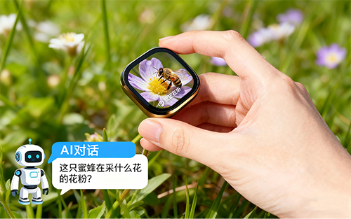 组创两大智能学习方案:穿戴式产品与 AI 拍学机全链条定制开发